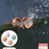 日本-3coins 可重複環保水球4入組
